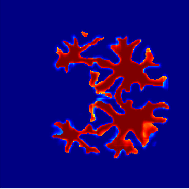 Figure 31